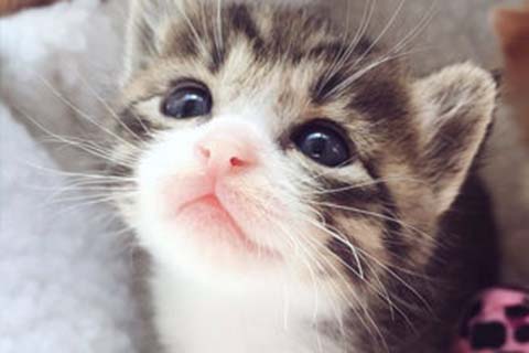 http://jiaxing.huochezhan.net/post/222.html|嘉兴供卵助孕