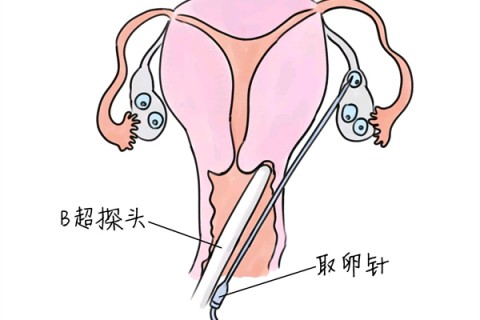 http://jiaxing.huochezhan.net/post/205.html|嘉兴供卵助孕