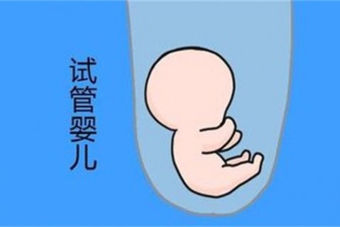 培养嘉兴捐卵宝宝艺术细胞的小技巧