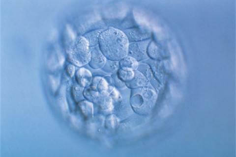 http://jiaxing.huochezhan.net/post/200.html|嘉兴新闻中心
